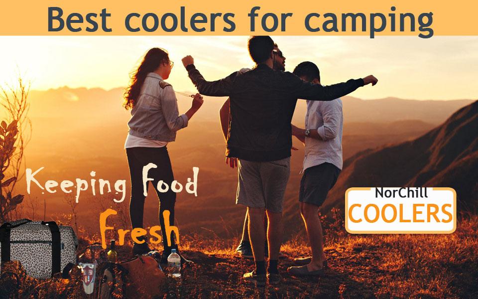 Which Cooler Do You Need For That Last Trip Before School Starts?