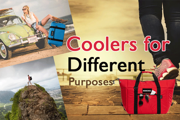 Cooler Bags are the Way To Go...  Hands Down!