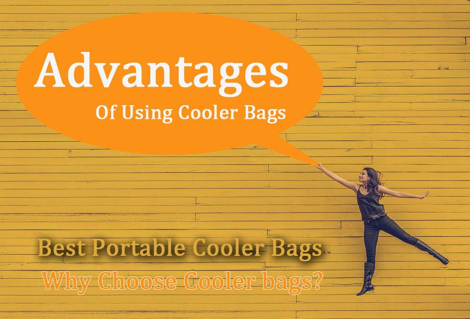 The Many Advantages Of Using Cooler Bags Over Hard Box Coolers, Regardless Of What You Like To Do