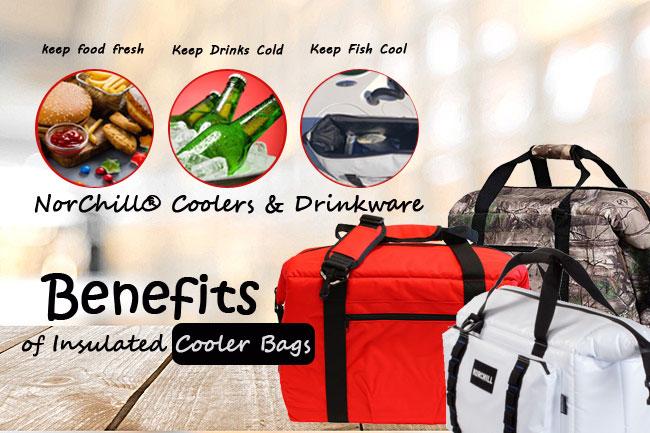 The Advantages of Cooler Bag Over Hard Box Cooler